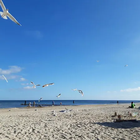 Piel - Am Inselwald Ückeritz