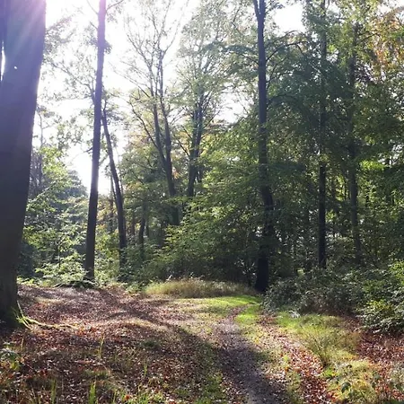 Piel - Am Inselwald Feriehus